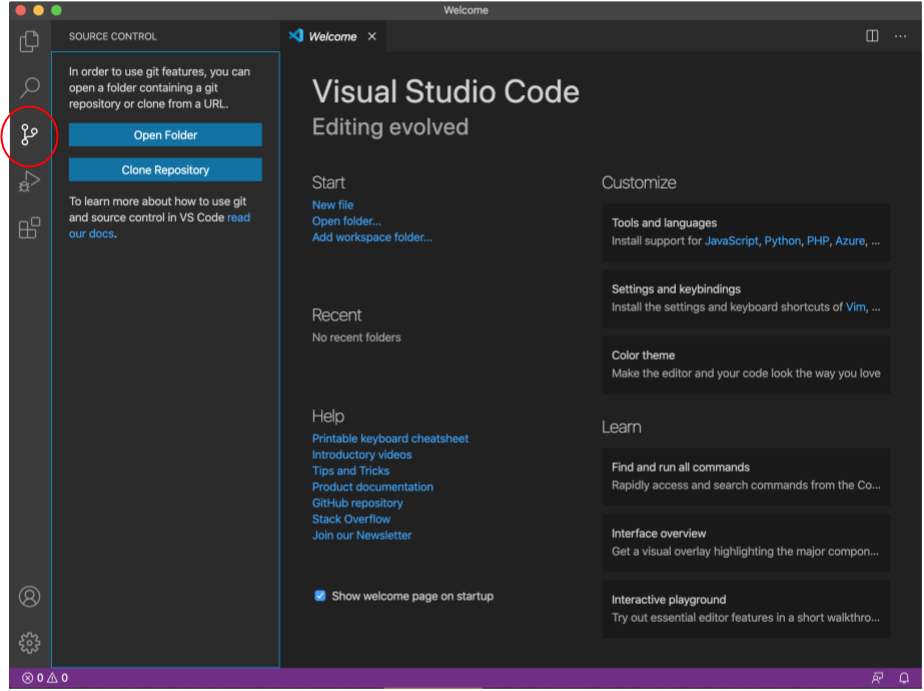 VS Code Source Control Action Bar Icon